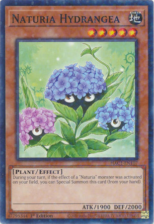 Naturia Hydrangea (Duel Terminal) [HAC1-EN107] Common | Anubis Games and Hobby