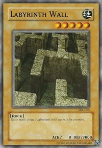Labyrinth Wall [Spell Ruler] [SRL-055] | Anubis Games and Hobby