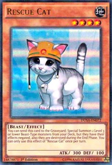 Rescue Cat [Duelist Saga] [DUSA-EN072] | Anubis Games and Hobby