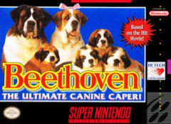 Beethoven - Super Nintendo | Anubis Games and Hobby