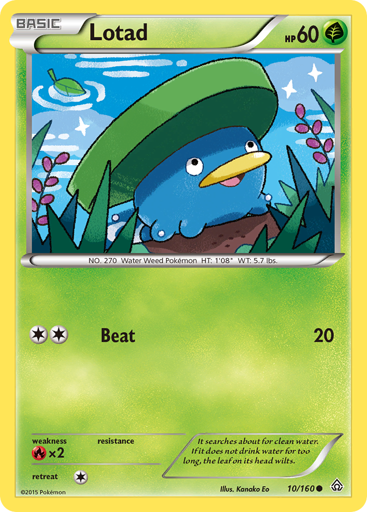 Lotad (10/160) [XY: Primal Clash] | Anubis Games and Hobby