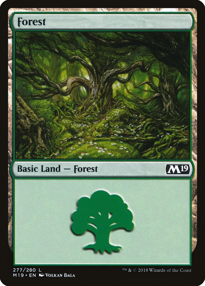 Forest (277) [Core Set 2019] | Anubis Games and Hobby