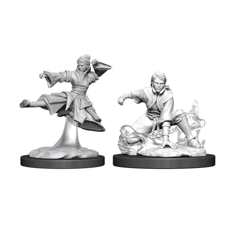Female Human Monk | Anubis Games and Hobby