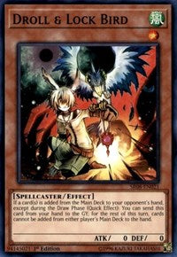 Droll & Lock Bird [Structure Deck: Order of the Spellcasters] [SR08-EN021] | Anubis Games and Hobby