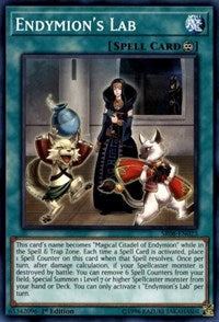 Endymion's Lab [Structure Deck: Order of the Spellcasters] [SR08-EN023] | Anubis Games and Hobby