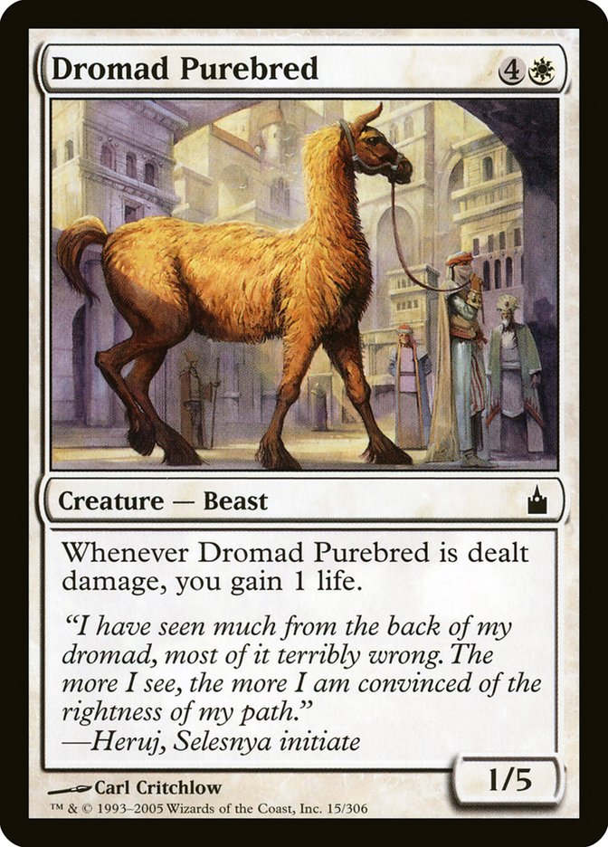 Dromad Purebred [Ravnica: City of Guilds] | Anubis Games and Hobby