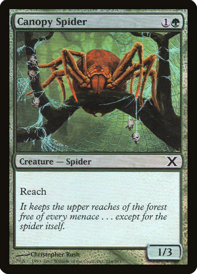 Canopy Spider (Premium Foil) [Tenth Edition] | Anubis Games and Hobby