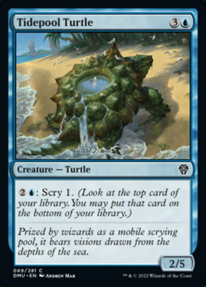 Tidepool Turtle [Dominaria United] | Anubis Games and Hobby