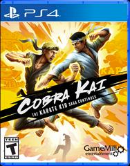 Cobra Kai: The Karate Kid Saga Continues - Playstation 4 | Anubis Games and Hobby