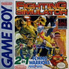 2 In 1: Flying Warriors / Fighting Simulator - GameBoy | Anubis Games and Hobby