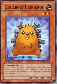 Quillbolt Hedgehog [5D's Starter Deck 2009] [5DS2-EN013] | Anubis Games and Hobby