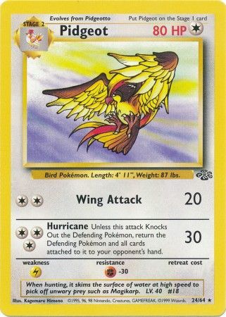 Pidgeot (24/64) [Jungle Unlimited] | Anubis Games and Hobby