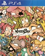 Wonder Boy - Playstation 4 | Anubis Games and Hobby