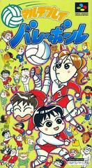 Multi Play Volleyball - Super Famicom | Anubis Games and Hobby