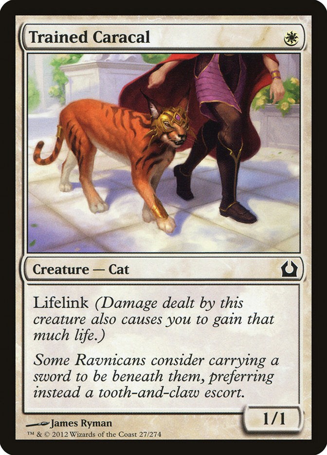 Trained Caracal [Return to Ravnica] | Anubis Games and Hobby