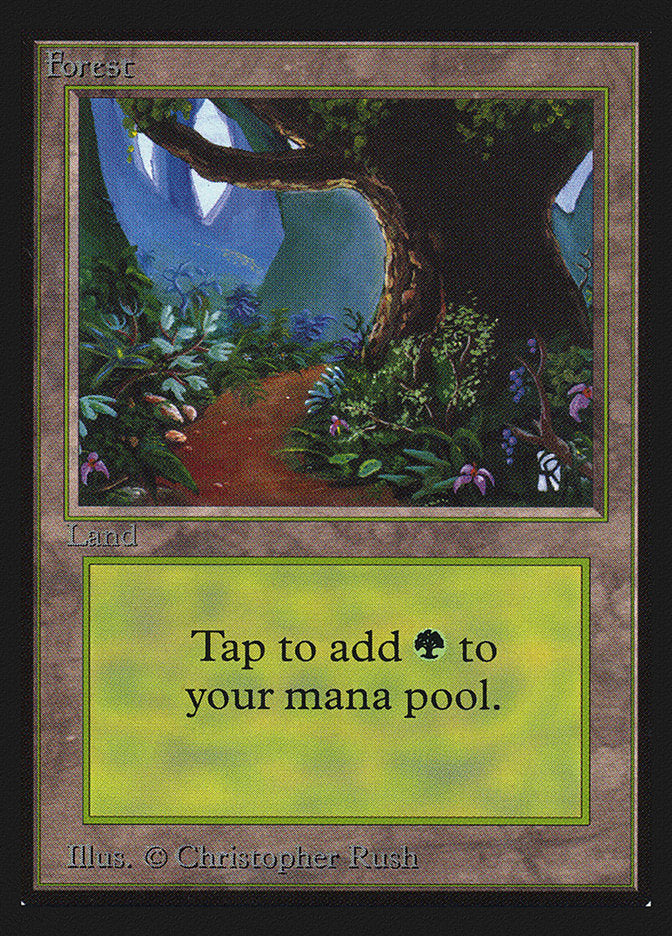 Forest (Flower Path) [Collectors' Edition] | Anubis Games and Hobby