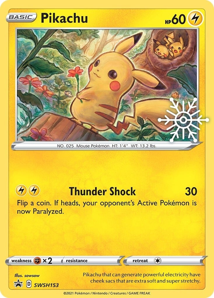 Pikachu (SWSH153) (Holiday Calendar) [Sword & Shield: Black Star Promos] | Anubis Games and Hobby