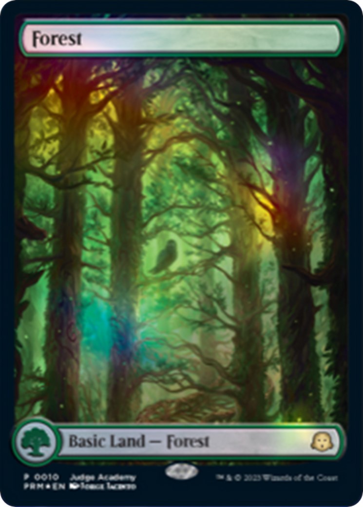 Forest [Judge Gift Cards 2023] | Anubis Games and Hobby