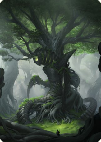 Forest Art Card [The Brothers' War Art Series] | Anubis Games and Hobby