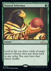 Natural Selection [30th Anniversary Edition] | Anubis Games and Hobby