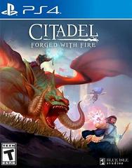 Citadel: Forged with Fire - Playstation 4 | Anubis Games and Hobby