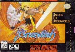 Brandish - Super Nintendo | Anubis Games and Hobby