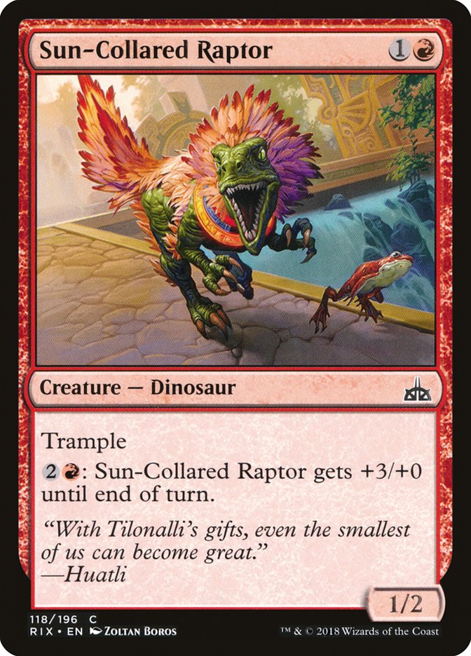 Sun-Collared Raptor [Rivals of Ixalan] | Anubis Games and Hobby