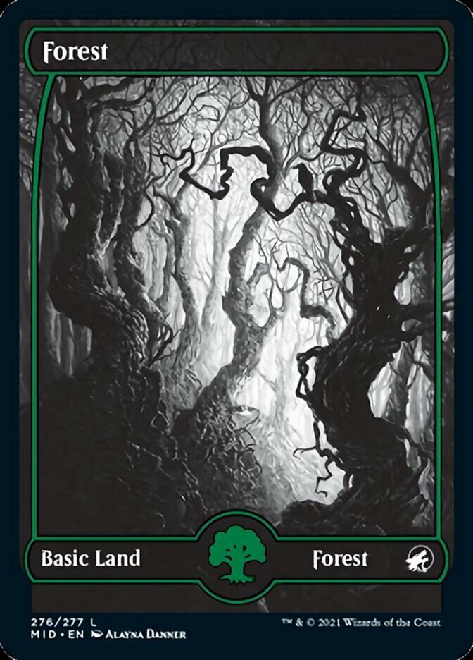 Forest (276) [Innistrad: Midnight Hunt] | Anubis Games and Hobby