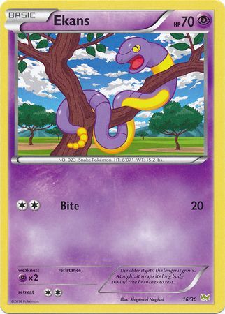 Ekans (16/30) [XY: Trainer Kit - Noivern] | Anubis Games and Hobby