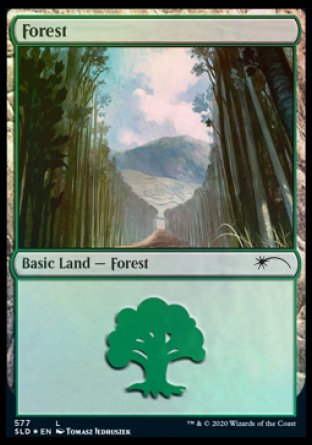 Forest (Walls) (577) [Secret Lair Drop Promos] | Anubis Games and Hobby