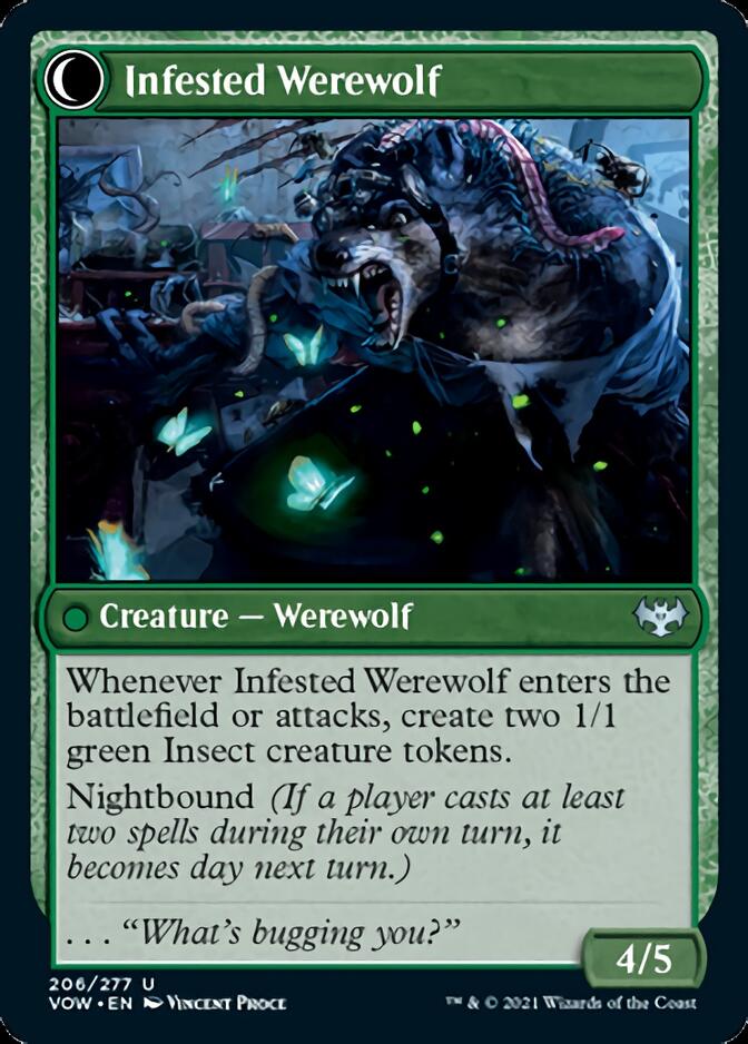 Infestation Expert // Infested Werewolf [Innistrad: Crimson Vow] | Anubis Games and Hobby