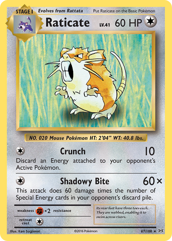 Raticate (67/108) [XY: Evolutions] | Anubis Games and Hobby