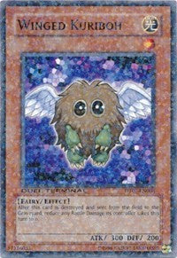 Winged Kuriboh [Duel Terminal 1] [DT01-EN008] | Anubis Games and Hobby