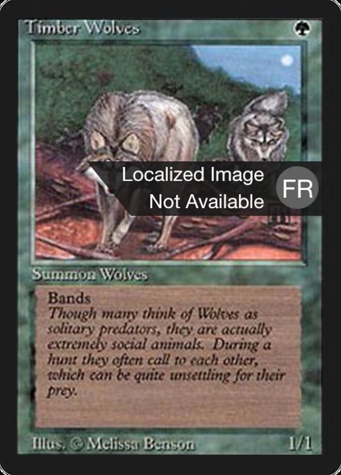 Timber Wolves [Foreign Black Border] | Anubis Games and Hobby