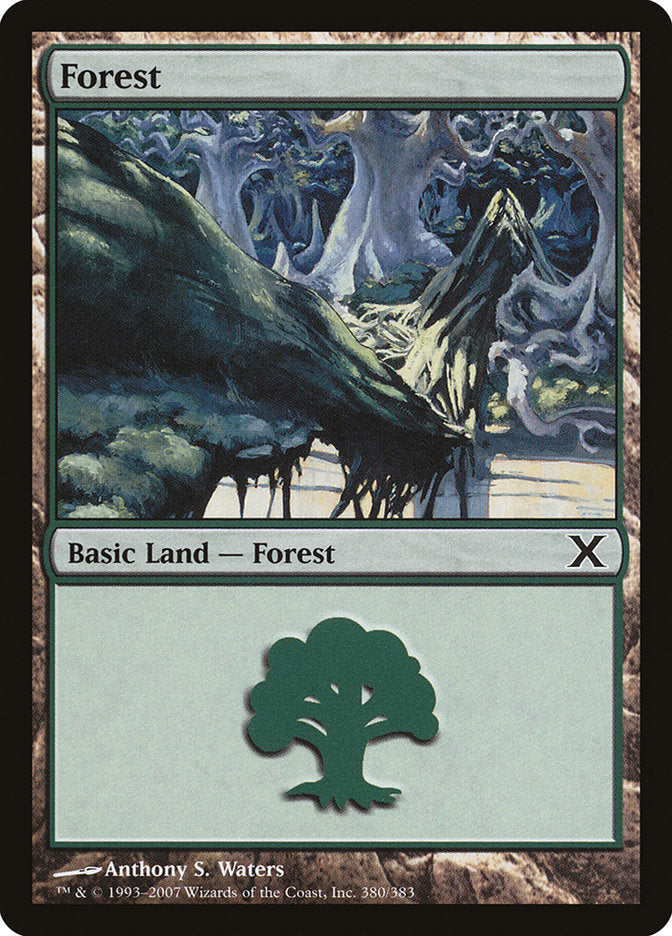 Forest (380) [Tenth Edition] | Anubis Games and Hobby