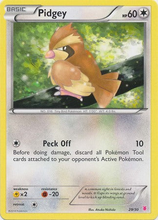 Pidgey (29/30) [XY: Trainer Kit 1 - Wigglytuff] | Anubis Games and Hobby