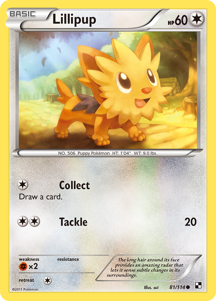 Lillipup (81/114) [Black & White: Base Set] | Anubis Games and Hobby