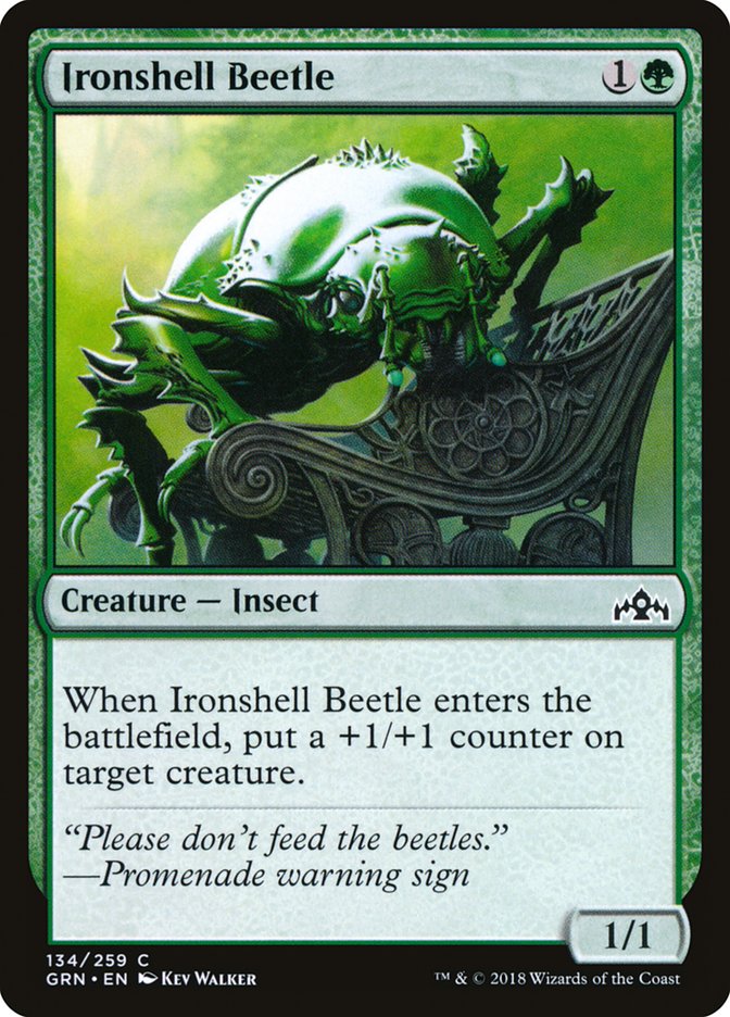 Ironshell Beetle [Guilds of Ravnica] | Anubis Games and Hobby