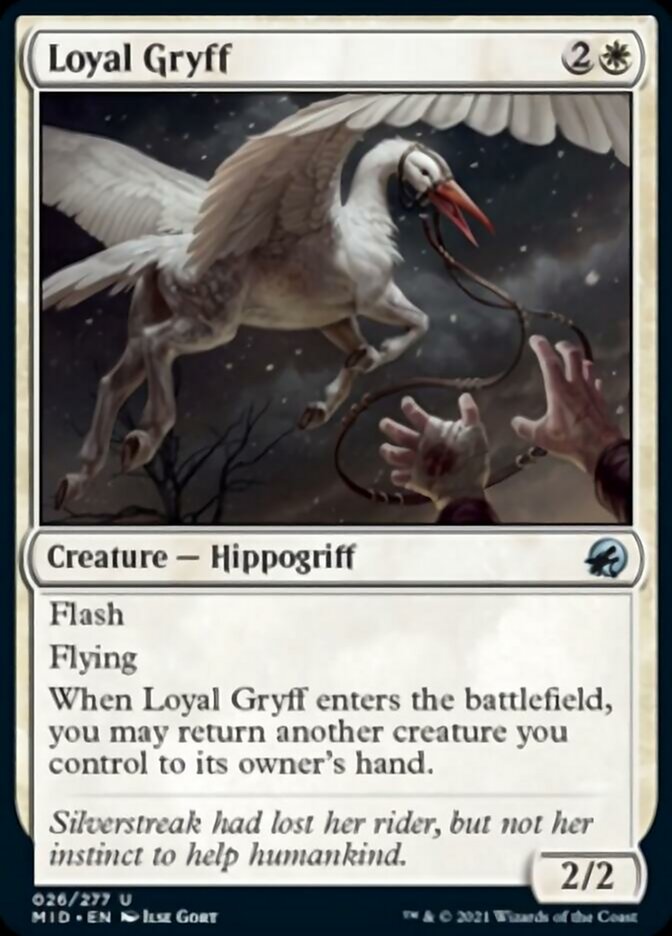 Loyal Gryff [Innistrad: Midnight Hunt] | Anubis Games and Hobby