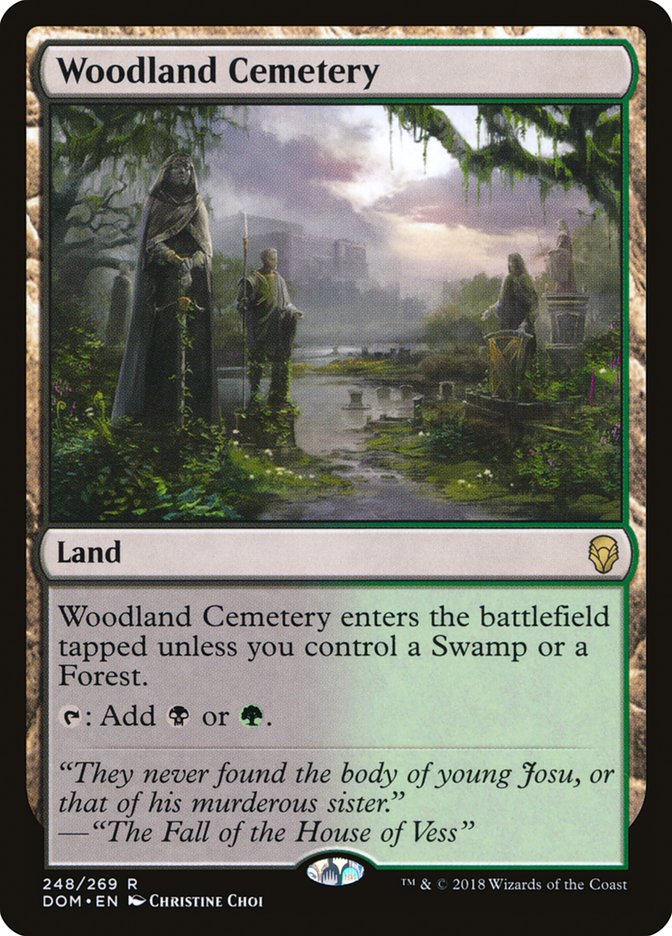 Woodland Cemetery [Dominaria] | Anubis Games and Hobby