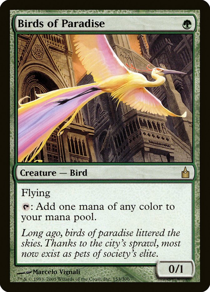 Birds of Paradise [Ravnica: City of Guilds] | Anubis Games and Hobby