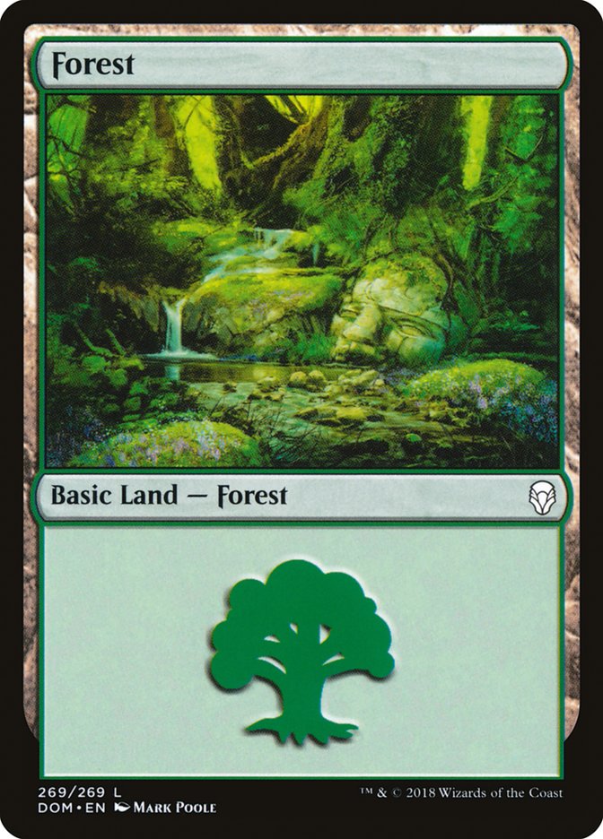 Forest (269) [Dominaria] | Anubis Games and Hobby