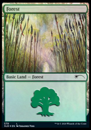 Forest (Elves) (579) [Secret Lair Drop Promos] | Anubis Games and Hobby