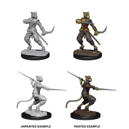 Miniatures - Tabaxi Rogue | Anubis Games and Hobby