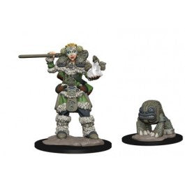 Wardlings Painted Gril Druid & Stone Creature | Anubis Games and Hobby