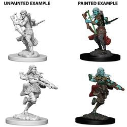 Nolzur’s Marvelous Miniatures: Air Genasi Rogue - Unpainted | Anubis Games and Hobby