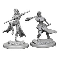 Nolzur's Marvelous Miniatures: Human Female Monk - Unpainted | Anubis Games and Hobby