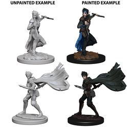 Pathfinder Deep Cuts: Elf Female Rogue - Unpainted | Anubis Games and Hobby