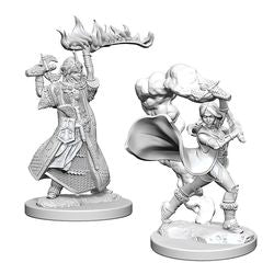 Pathfinder Deep Cuts: Human Female Cleric - Unpainted | Anubis Games and Hobby
