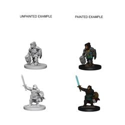 Nolzur's Marvelous Miniatures: Female Dwarf Paladin - Unpainted | Anubis Games and Hobby